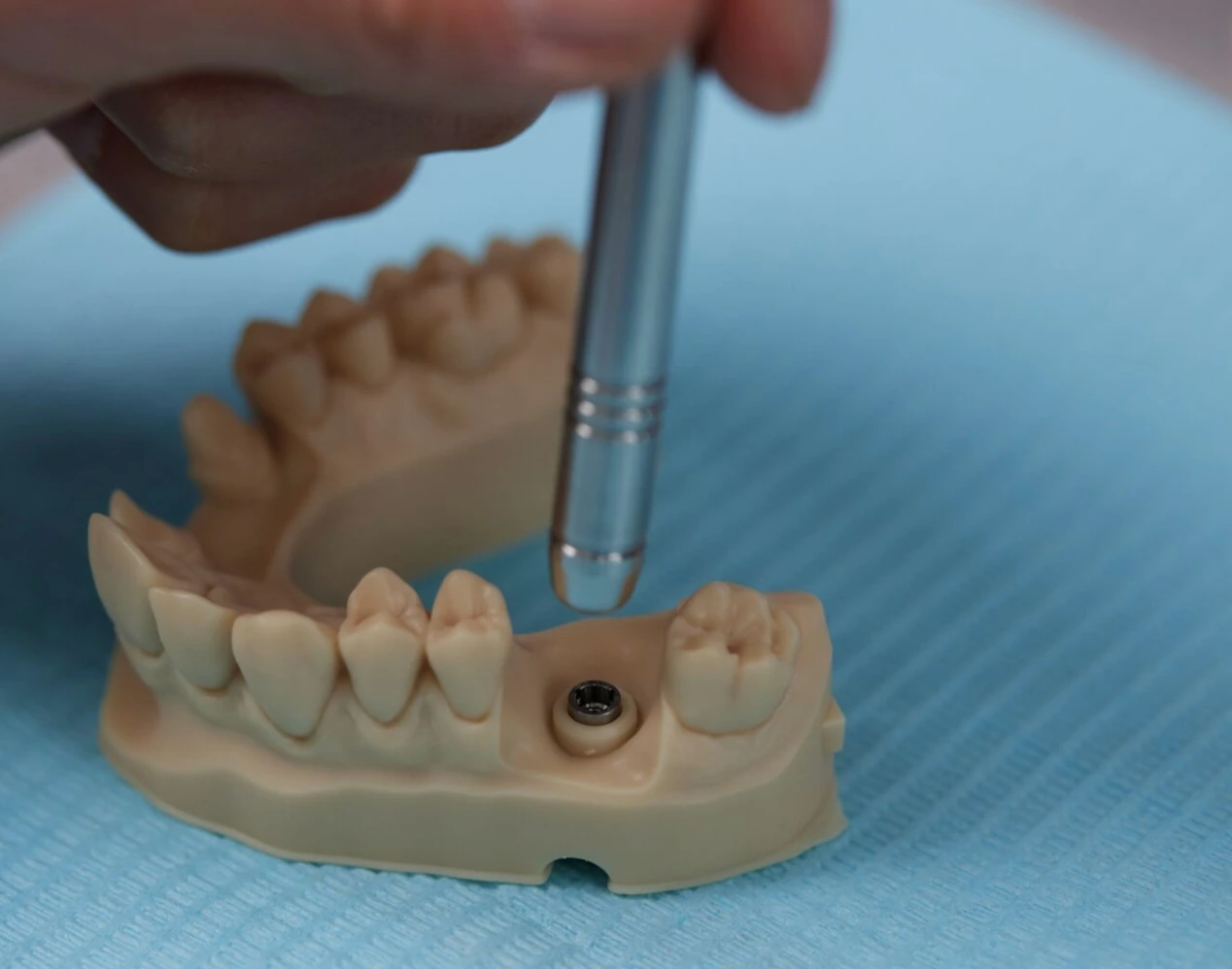 Dental- und Anschauungsmodelle